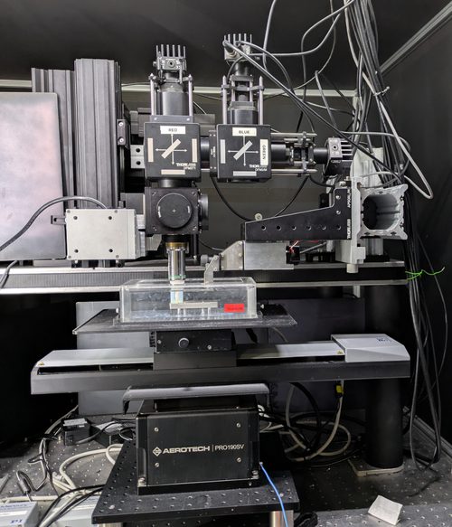 NeuroVision serial two-photon microscope at the Sainsbury Wellcome Centre, with its vibratome and sample bath