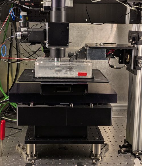 OrganGrinder serial two-photon microscope at the Sainsbury Wellcome Centre